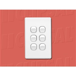 6 GANG FLUSH SWITCH PLATE