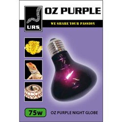 75W URS OZ PURPLE GLOBE SMALL