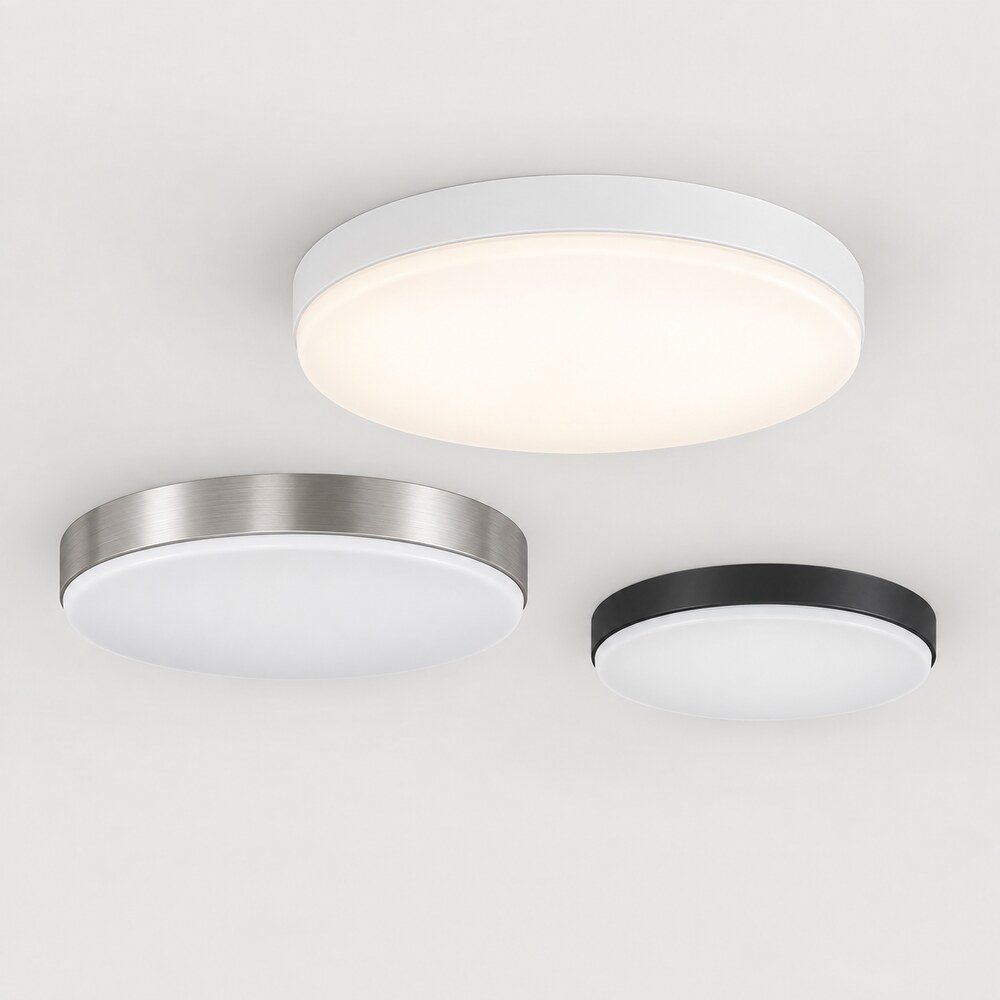 Oyster Lights